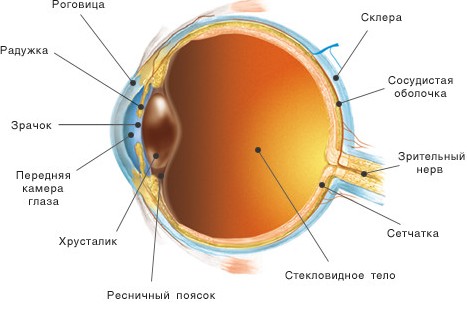 Хвороби зорового нерва