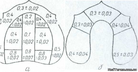 Схема піддатливості слизової оболонки верхньої (а) та нижньої (б) беззубих щелеп (за В.І.Кулаженко)