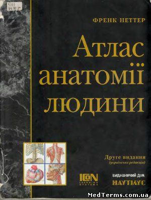 Неттер Ф. Атлас анатомії людини