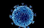 Вірус - великий економічний збиток для держави