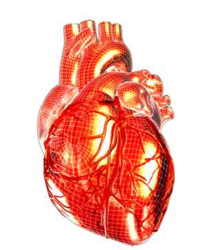 Хвороби серцевого м'яза