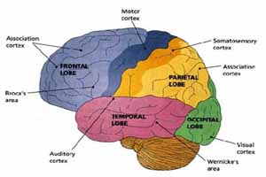Аденома гіпофіза головного мозку