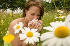 Як лікувати алергічний дерматит народними засобами?