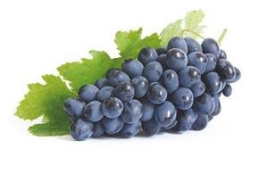 Виноград при грудному вигодовуванні