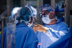 Кардіологія та серцево-судинна хірургія