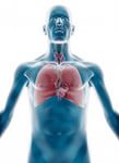 Дихальна гімнастика при бронхіальній астмі