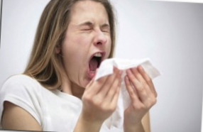 Лікування алергії на амброзію