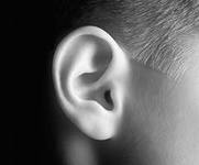 Клінічна анатомія зовнішнього вуха