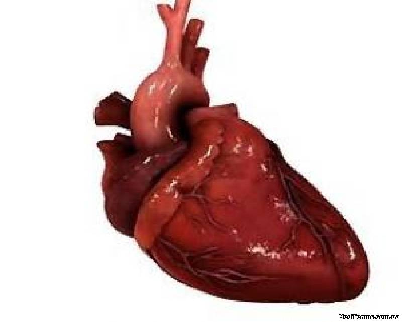 Україна займає перше місце в Європі за кількістю серцево-судинних захворювань