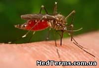 Ученими розроблена універсальна вакцина від малярії
