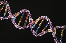 Вчені з'ясували, що рак кишечника може викликати «сміттєва» ДНК