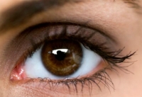 Вчені з США мають намір провести тести над ліками від сліпоти