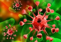 В організмі здорових людей є не менше п'яти вірусів